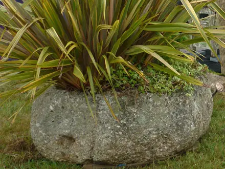 Interesting Garden Items