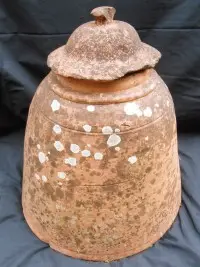 Terracotta Rhubarb Forcer
